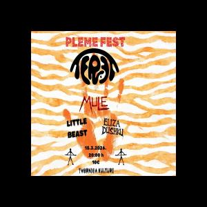 Rock is back in town!